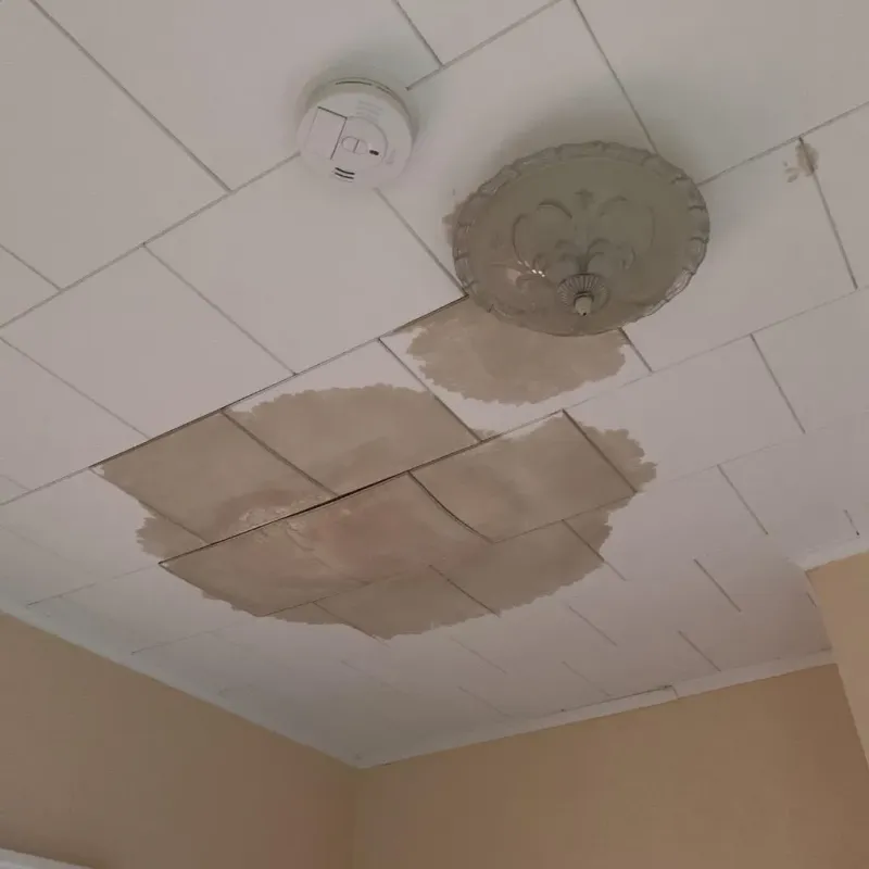 Ceiling Water Damage Repair in Dundee, OR